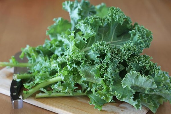 le chou kale est une plante potagère qui présente de nombreux bienfaits